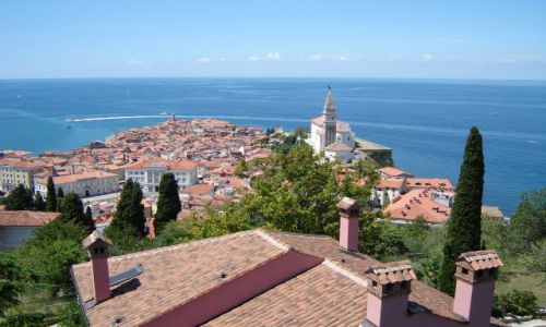 Zdjcie SOWENIA / brak / Piran / Piran