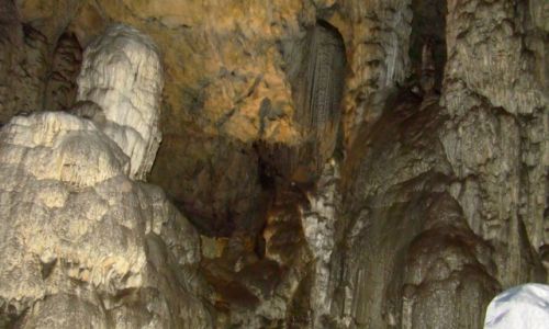 Zdjęcie SłOWENIA / Słowenia / Jaskinia Postojna / Stalaktyt