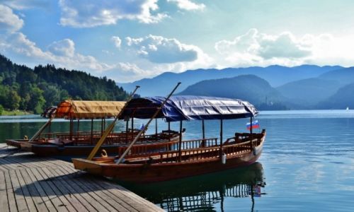 Zdjecie SOWENIA / - / Sowenia, Bled / Sowenia