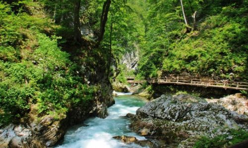 Zdjecie SOWENIA / Triglavski Park Narodowy w Alpach Julijskich / Wwz Vintgar / Wwz Vintgar