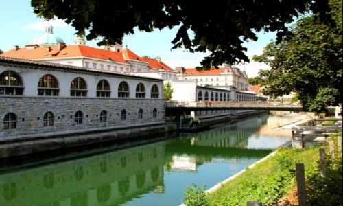 Zdjecie SOWENIA / Lublana / Lublana / Ljubljanica