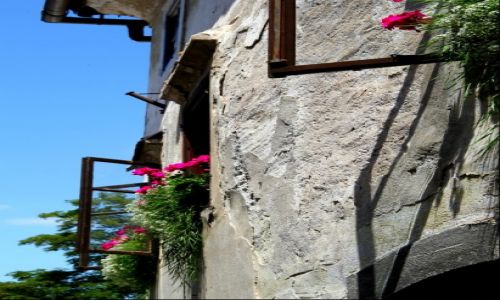 Zdjęcie SłOWENIA / Skofja Loka / Skofja Loka / kwitnące okna