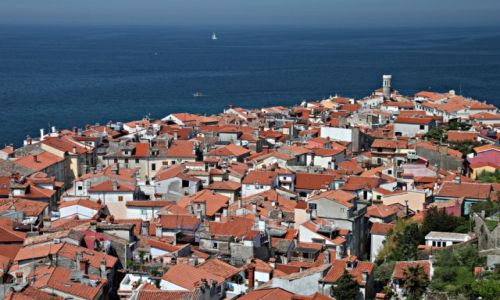 Zdj�cie S�OWENIA / Wybrze�e Adriatyku / Piran / Per�a s�owe�skiego wybrze�a