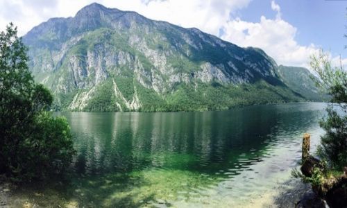 Zdjecie SłOWENIA / -Bled / Bled / Slowenia