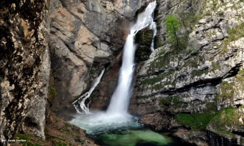 Zdjęcie SłOWENIA / Alpy Julijskie / Bohinj / wodospad
