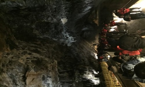 Zdjęcie SłOWENIA / - / Postojna  / Postojna Jaskinie