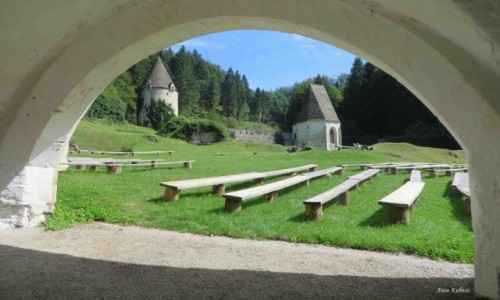 Zdjecie SOWENIA / Sowenia Wschodnia / Zice / Zice - fragment murw obronnych