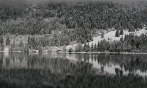 Zdjecie SOWENIA / Park narodowy / Bohinj / Lustro