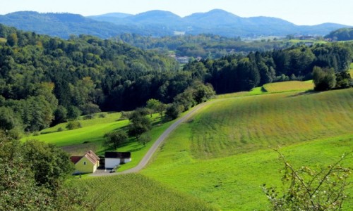 Zdjecie SOWENIA / - / Slovenske Gorice / grki i pagrki...