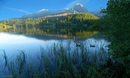 Zdjecie SOWACJA / Szczyrbski Staw. / Szczyrbskie Jezioro. / Szczyrbskie Pleso - rano.