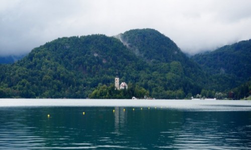 Zdjecie SOWENIA / Alpy Julijskie / Bled / we mgle...