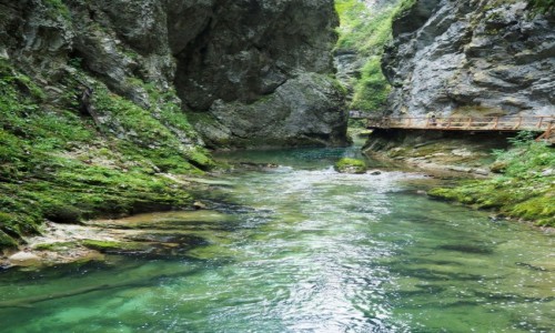 Zdjecie SOWENIA / Alpy Julijskie / Triglavski Park Narodowy, Wwz Vintgar / zielony kanion...
