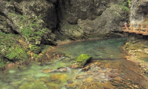 Zdjcie SOWENIA / Alpy Julijskie / Triglavski Park Narodowy, Wwz Vintgar / tutaj Radovna zwalnia...