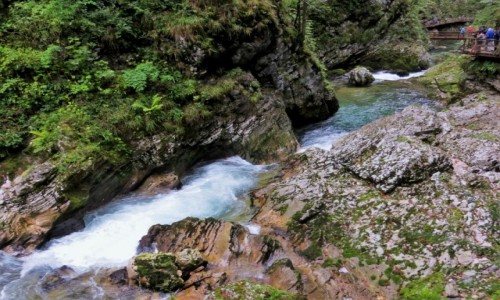 Zdjcie SOWENIA / Alpy Julijskie / Triglavski Park Narodowy, Wwz Vintgar / barwne skaki...