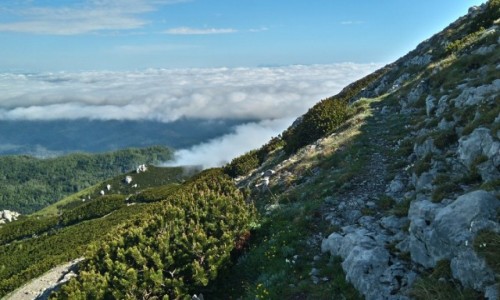 Zdjecie SOWENIA / Gry Dynarskie / Snenik / Chmury w grach 