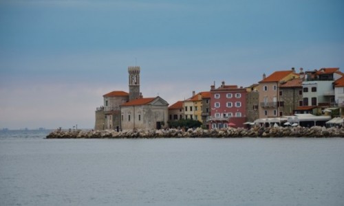 Zdjecie SOWENIA / - / Piran / Cypel