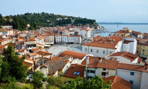 Zdjcie SOWENIA / - / Piran / Osuszony