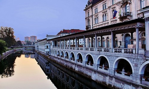Zdjecie SOWENIA / Primorje / Lublana / Hale Targowe nad Lublanic