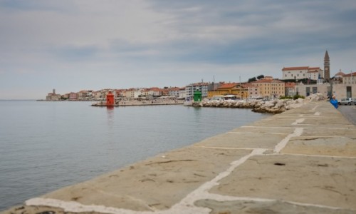 Zdjcie SOWENIA / - / Piran / Piran