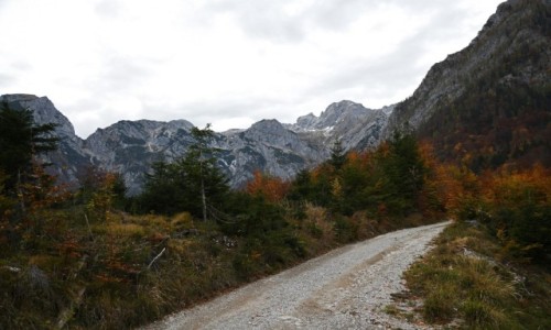 Zdjęcie SłOWENIA / AlpyKamnickie / Alpy Kamnickie / Alpy