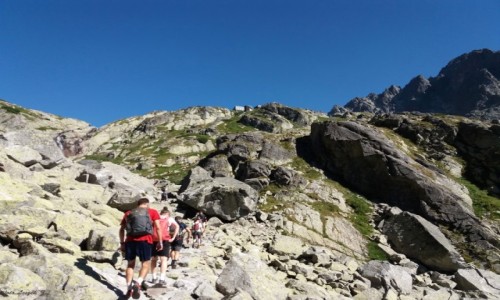 Zdjecie SOWACJA / Wysokie Tatry. / Szlak do Doliny Piciu Staww Spiskich. / Na szlaku do Chaty Teryego.