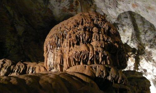 Zdjęcie SłOWENIA / rejon Lublany / Jaskinia Postojna / Stalagmit