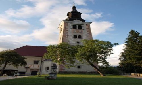 Zdjecie SOWENIA / Alpy / Jezioro Bled / na wyspie