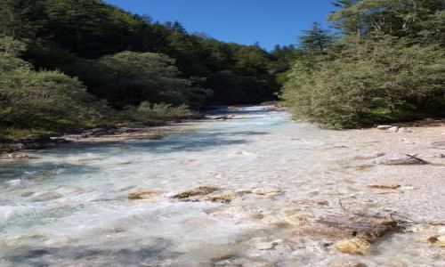 Zdjęcie SłOWENIA / Alpy Julijskie / strumyk / eh...