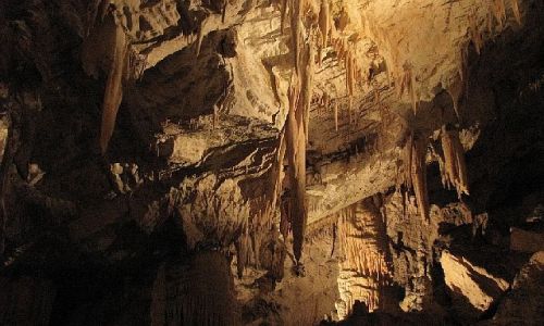 Zdjęcie SłOWENIA / brak / Postojna / Jaskinia1