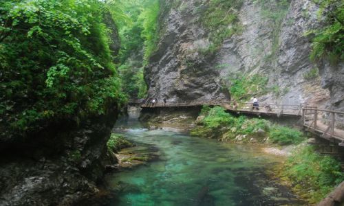 Zdjcie SOWENIA / - / TRIGLAVSKI PARK NARODOWY / WWZ VINTGAR