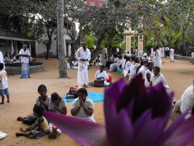 Zdjęcia: Asokarama maha Viharaya , Kalutara, w sanktuarium, SRI LANKA Zdjęcia: Asokarama maha Viharaya , Kalutara, w sanktuarium, SRI LANKA