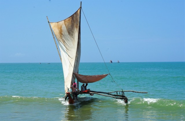 Zdj cia: Negombo, Colombo, Lankijski katamaran, SRI LANKA
