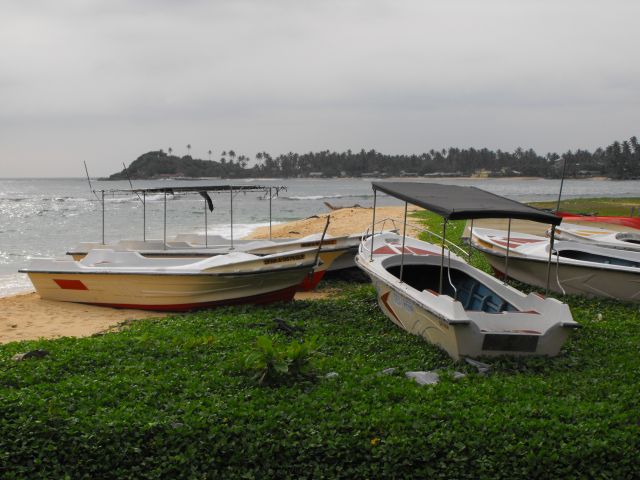 Zdjęcia: plaża koło Galle, Galle, zielona plaża, SRI LANKA Zdjęcia: plaża koło Galle, Galle, zielona plaża, SRI LANKA