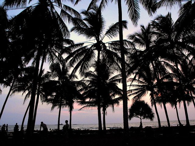 Zdjęcia: otoczenie hotelu, Bentota płd.wyspy, wieczorny widok z okna, SRI LANKA Zdjęcia: otoczenie hotelu, Bentota płd.wyspy, wieczorny widok z okna, SRI LANKA