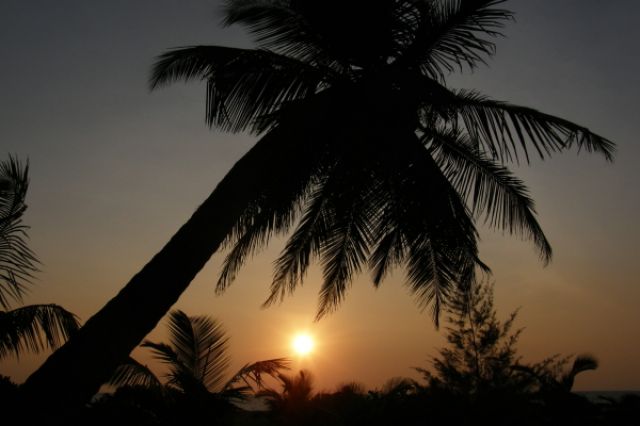 Zdjęcia: Kalutara, południowy-zachód, Kicz 1, SRI LANKA Zdjęcia: Kalutara, południowy-zachód, Kicz 1, SRI LANKA