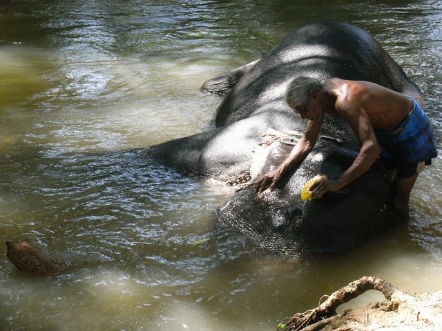 Zdjęcia: Sigiriya, Oh jak przyjemnie!, SRI LANKA Zdjęcia: Sigiriya, Oh jak przyjemnie!, SRI LANKA