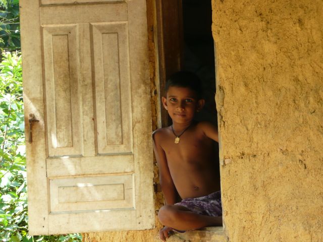 Zdjęcia: sri lanka, -azja, wioska cynamonowa, SRI LANKA Zdjęcia: sri lanka, -azja, wioska cynamonowa, SRI LANKA