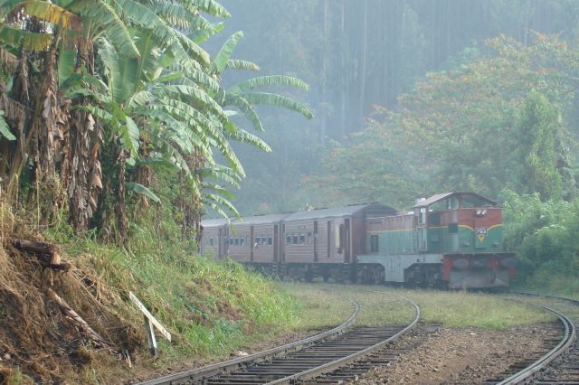 Zdjęcia: na trasie Ella-Nuwara Eliya, Jedzie pociag z..., SRI LANKA Zdjęcia: na trasie Ella-Nuwara Eliya, Jedzie pociag z..., SRI LANKA