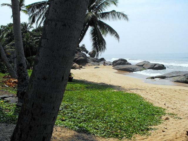 Zdjęcia: plaża, Hikkaduwa, widoczek......, SRI LANKA Zdjęcia: plaża, Hikkaduwa, widoczek......, SRI LANKA