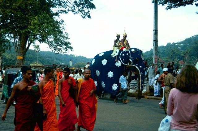 Zdjęcia: Sri Lanka / Kandy, Parada z okazji pełni księżyca, SRI LANKA Zdjęcia: Sri Lanka / Kandy, Parada z okazji pełni księżyca, SRI LANKA