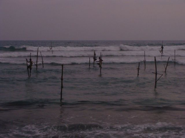 Zdjęcia: Płd. Sri Lanka, Płd. Sri Lanka, rybacy w Matale, SRI LANKA Zdjęcia: Płd. Sri Lanka, Płd. Sri Lanka, rybacy w Matale, SRI LANKA