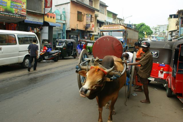 Zdjęcia: colombo, colombo, Transport wody, SRI LANKA Zdjęcia: colombo, colombo, Transport wody, SRI LANKA