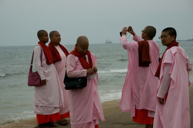 Zdjęcia: Colombo, Colombo, Mniszki , SRI LANKA Zdjęcia: Colombo, Colombo, Mniszki , SRI LANKA