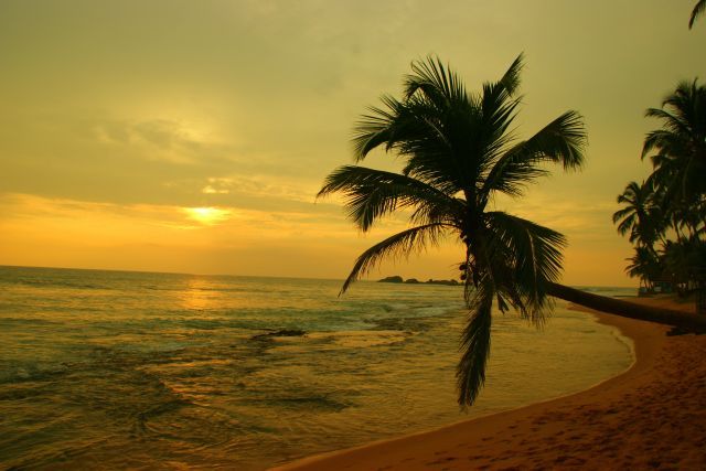 Zdjęcia: hIKUDAWA, Hikudaw , Plaża , SRI LANKA Zdjęcia: hIKUDAWA, Hikudaw , Plaża , SRI LANKA