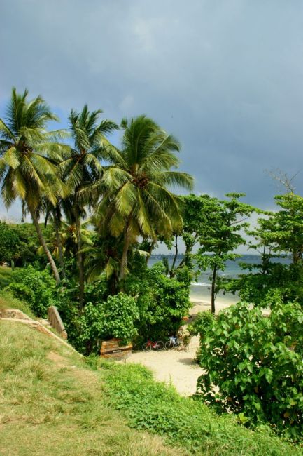 Zdjęcia: Galle, Galle, Zielono, SRI LANKA Zdjęcia: Galle, Galle, Zielono, SRI LANKA