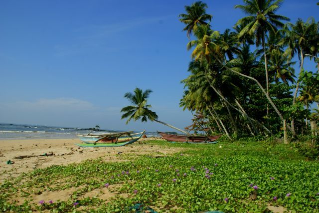 Zdjęcia: Galle, Galle, Utkneły w zieleni , SRI LANKA Zdjęcia: Galle, Galle, Utkneły w zieleni , SRI LANKA