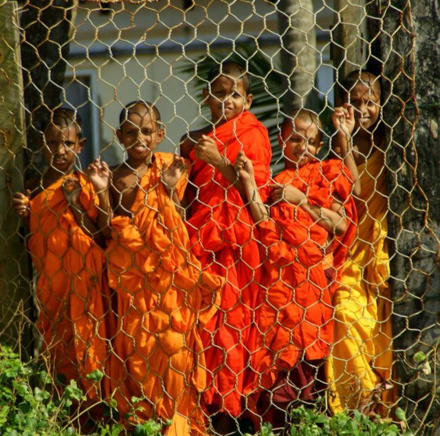 Zdjęcia: Galle, Galle, Za siatką , SRI LANKA Zdjęcia: Galle, Galle, Za siatką , SRI LANKA
