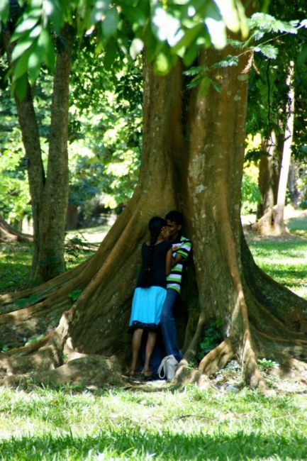 Zdjęcia: Kendy, Kendy, Dziubka dej, SRI LANKA Zdjęcia: Kendy, Kendy, Dziubka dej, SRI LANKA