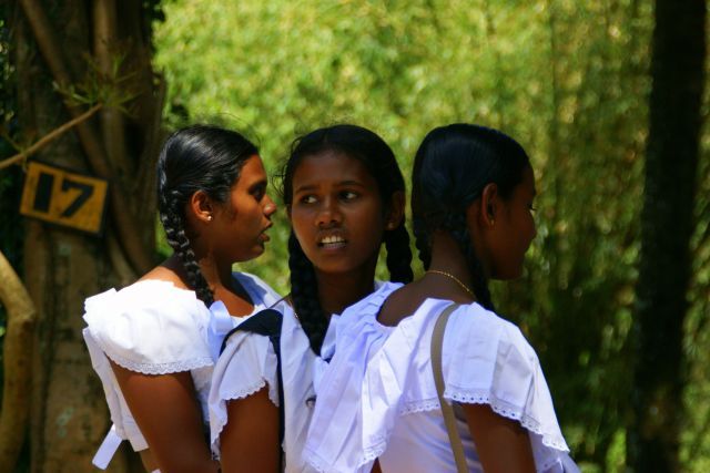 Zdjęcia: Kendy, -Kendy, Ogląda, SRI LANKA Zdjęcia: Kendy, -Kendy, Ogląda, SRI LANKA
