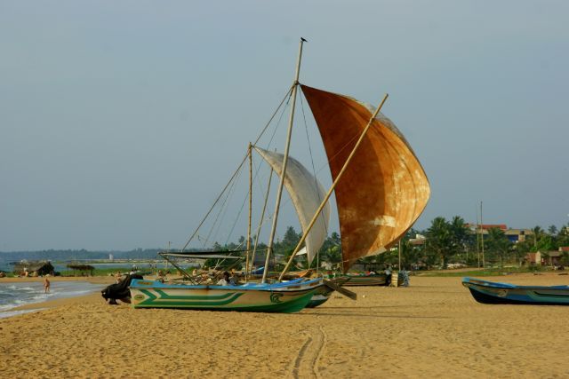 Zdjęcia: Tangale, Tangale, Żagiel na piasku, SRI LANKA Zdjęcia: Tangale, Tangale, Żagiel na piasku, SRI LANKA